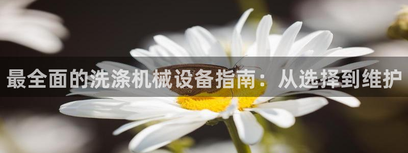 ag九游会下载
