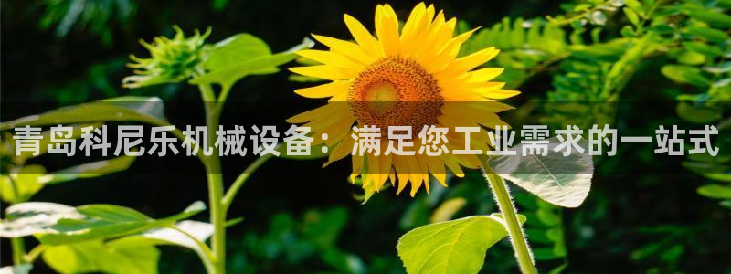 九游会倒闭吗?