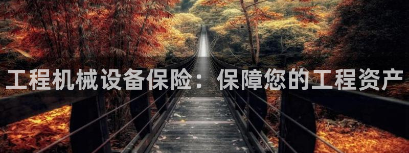 九游会ag私享
