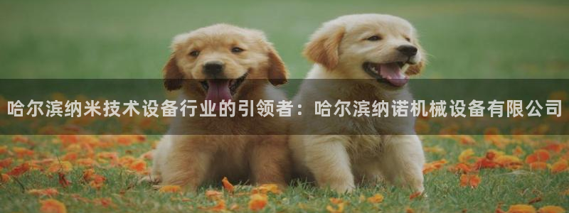 九游会倒闭吗?