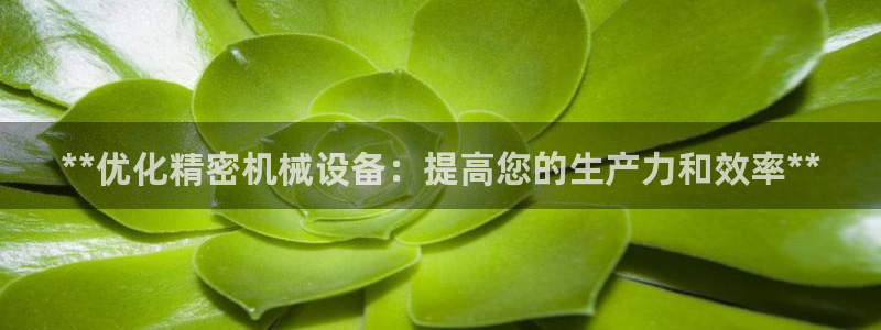 J9九游会app