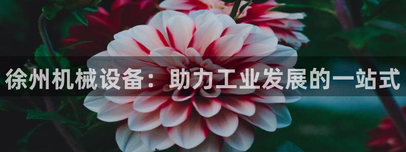 九游会国际厅登录 - j9九游会首页登录新版