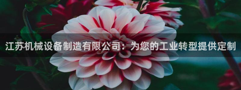 j9九游会真人第一品牌