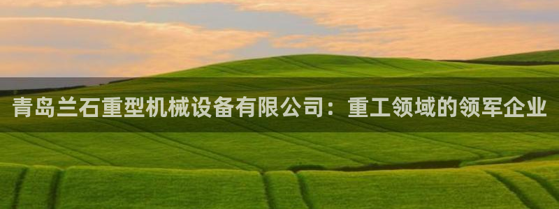 九游会跟ag是怎么一回事