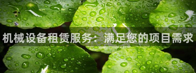 九游会平台