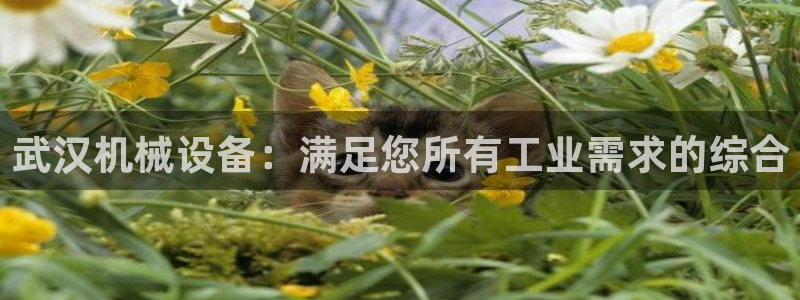 j9九游会会员日