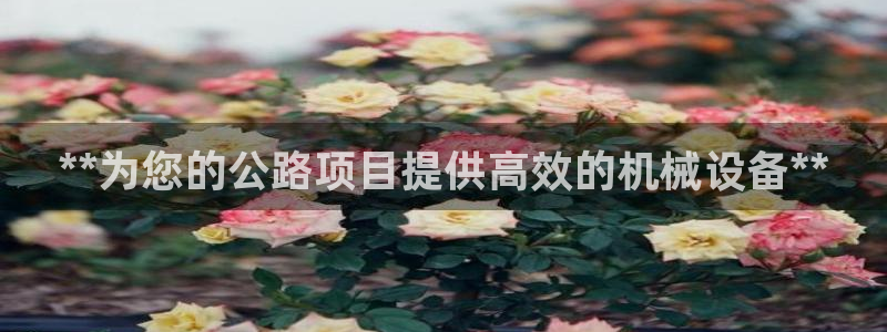 九游会j9官方网站