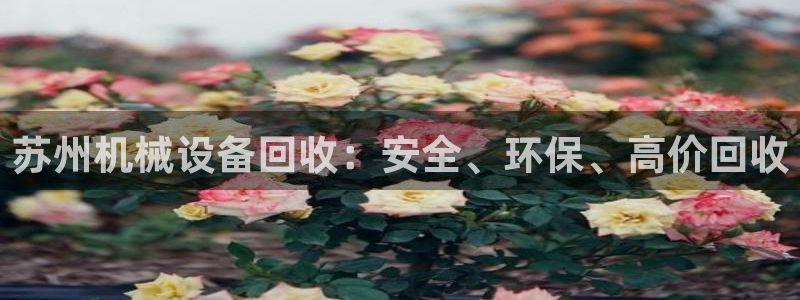 九游会老哥必备的俱乐部交流区