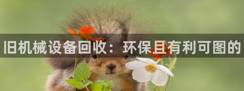 J9九游会国际站