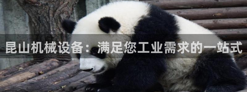 九游会ag官方网站在哪