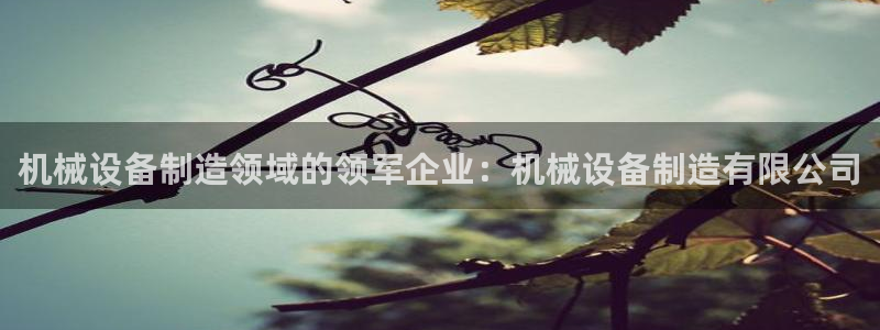 j9九游会ag私享