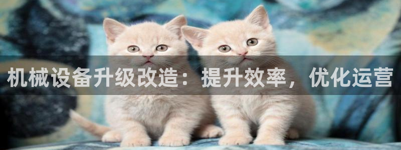 九游会在
