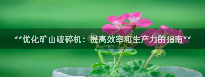 九游会官网网址