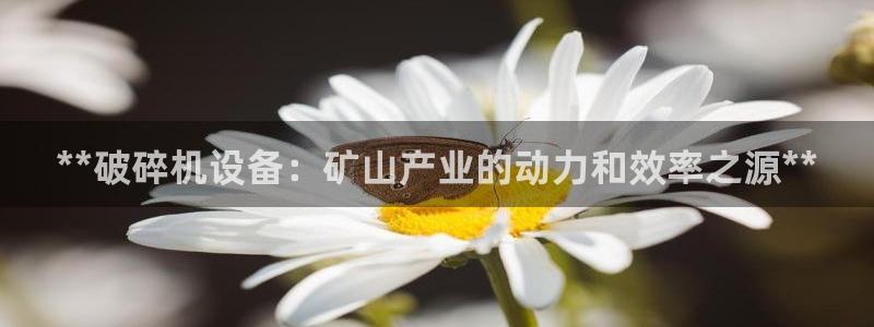J9九游会J9