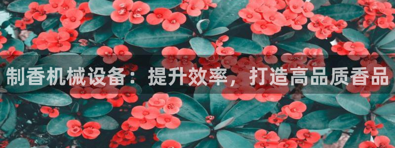 九游会老哥必备的俱乐部交流区论坛