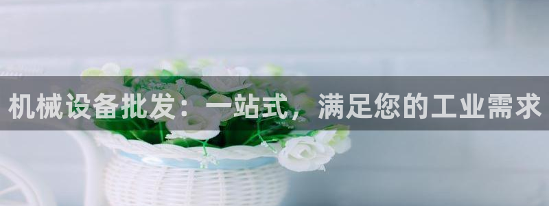 九游会网址入口