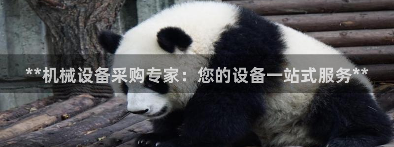 九游会ag真人官网