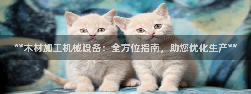 J9九游会官网app