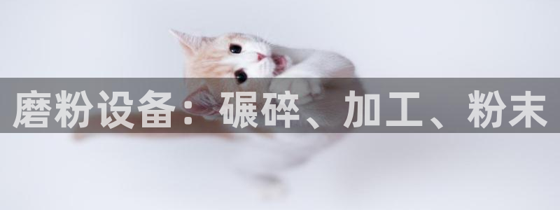 j9游会真人游戏第一品牌