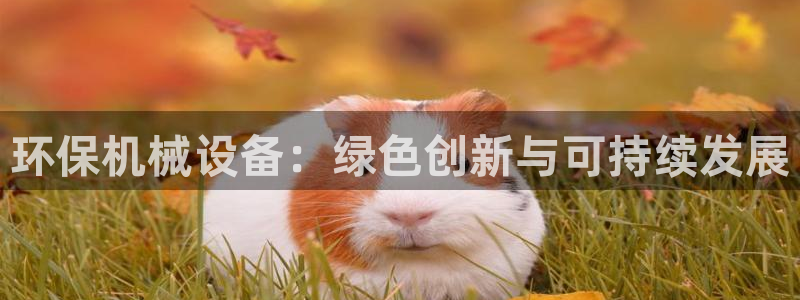 九游会AG下载手机端