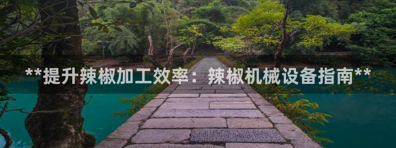 九游会agapp