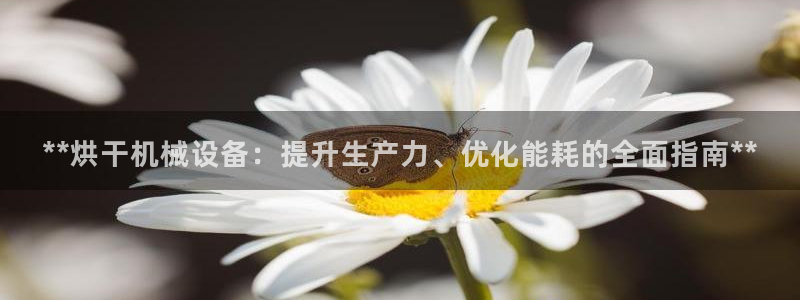 九游会集团新的选择