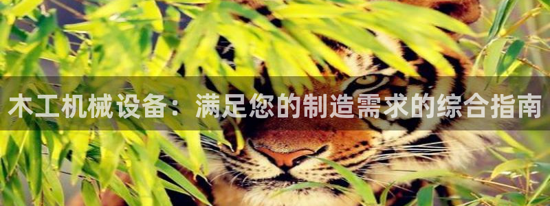 九游会真人第一品牌游戏合营