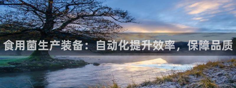 九游j9官网入口