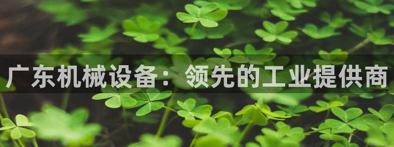 九游会集团货币