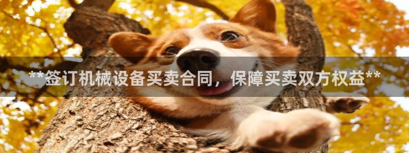 ag九游会app