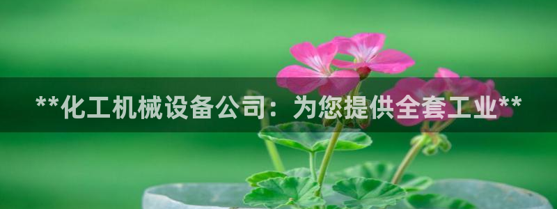 九游会集团币圈