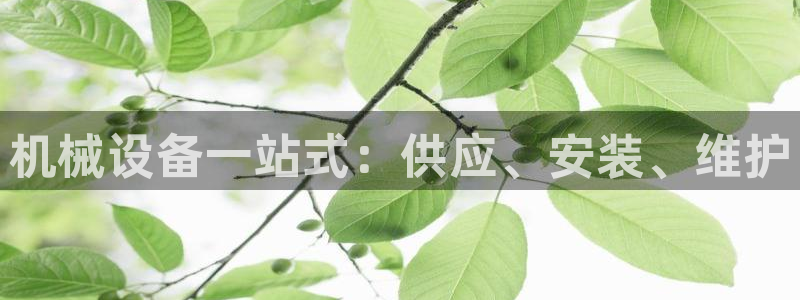 九游会j9官方网站