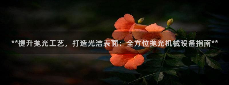 j9九游会官网