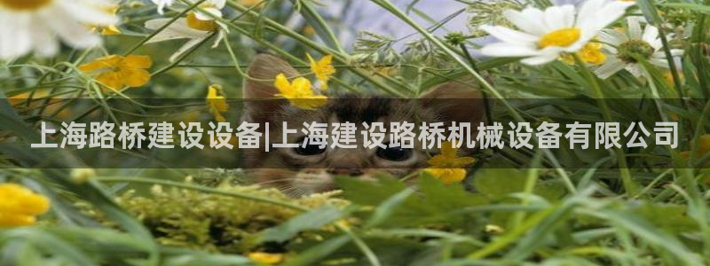 九游会官网登录网址