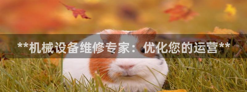 j9九游会app官方下载
