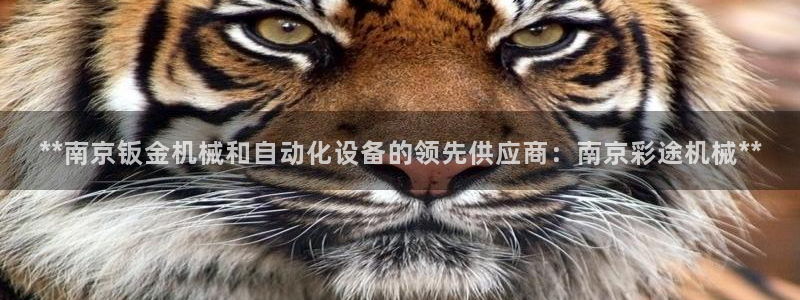 J9九游会登陆旧版