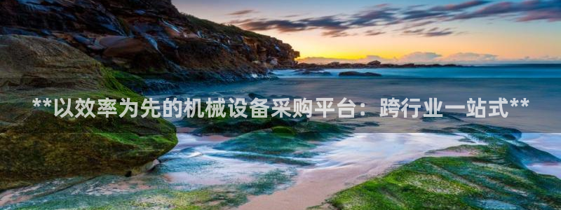 九游会官网首页进入吗
