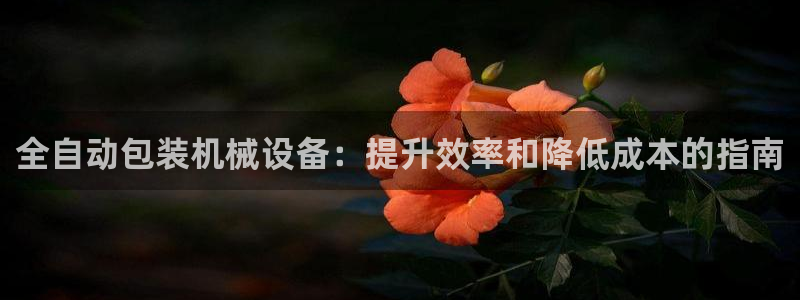 j9九游会怎么样