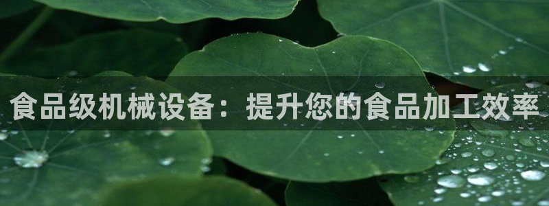 九游会官方网站登录