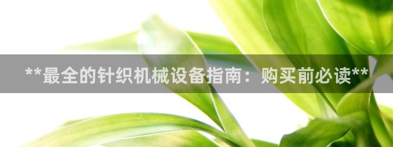 j9九游会真人游戏第一品牌