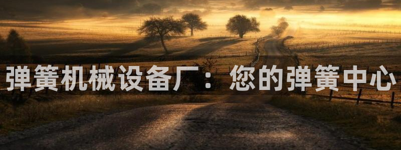 九游会亚洲官网