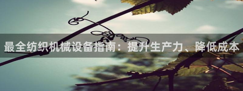 九游会官网入口ag亚洲