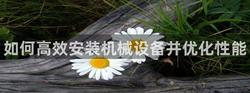 九游会ag私享