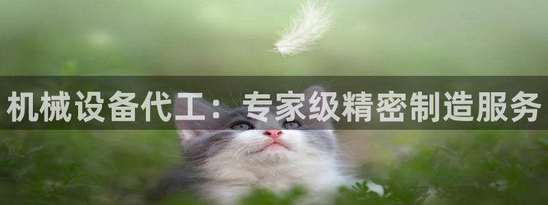 j9官网入口