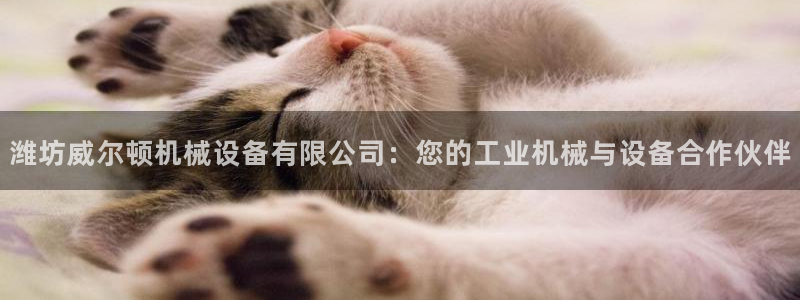 九游会老哥