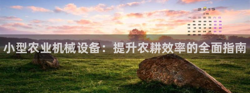 九游会中国入口嘛