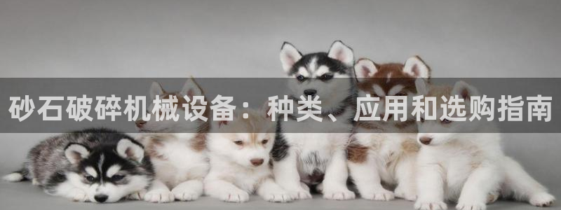 九游会首页官网