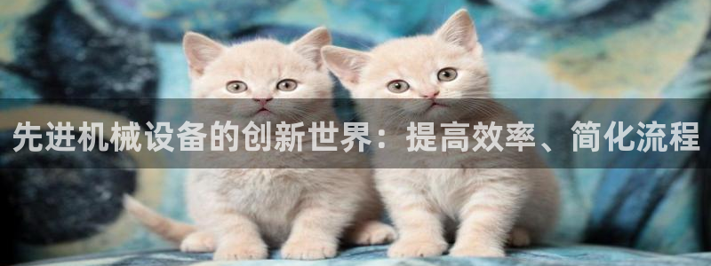 j9官网入口