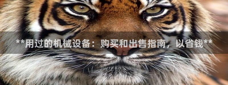 九游会J9登录入口