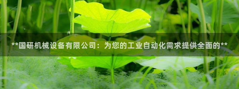 九游会进不去了